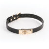Fetish & Fashion Sadie Collar