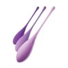 Fantasy For Her Kegel Train-Her