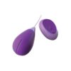 Fantasy For Her Remote Kegel
