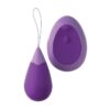Fantasy For Her Remote Kegel