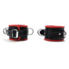 665 Padded Locking Ankle Restraint