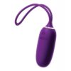 VeDO KIWI Rechargeable Insertable Bullet