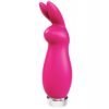VeDO Crazzy Bunny