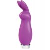 VeDO Crazzy Bunny