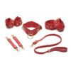 Bedroom Bliss Lover's Restraint Set - Red - Image 2